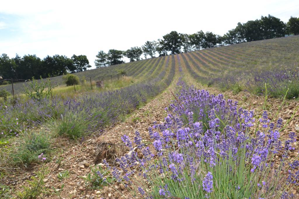 Aurel Inattendu Aurel (Vaucluse)
