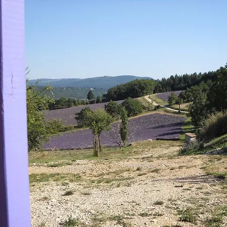 Aurel Inattendu Kamer foto